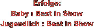 Erfolge:
Baby : Best in Show
Jugendlich : Best in Show