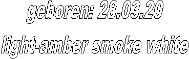 geboren: 28.03.20
light-amber smoke white
