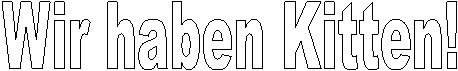 Wir haben Kitten!