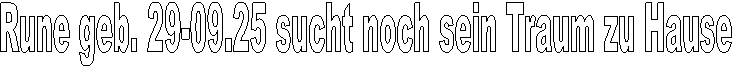 Rune geb. 29-09.25 sucht noch sein Traum zu Hause 