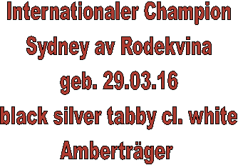Internationaler Champion
Sydney av Rodekvina
geb. 29.03.16
black silver tabby cl. white
Ambertrger 