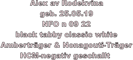 Alex av Rodekvina
geb. 25.05.19
NFO n 09 22
black tabby classic white
Ambertrger & Nonagouti-Trger
HCM-negativ geschallt 