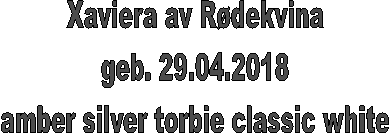 Xaviera av Rdekvina
geb. 29.04.2018
amber silver torbie classic white
